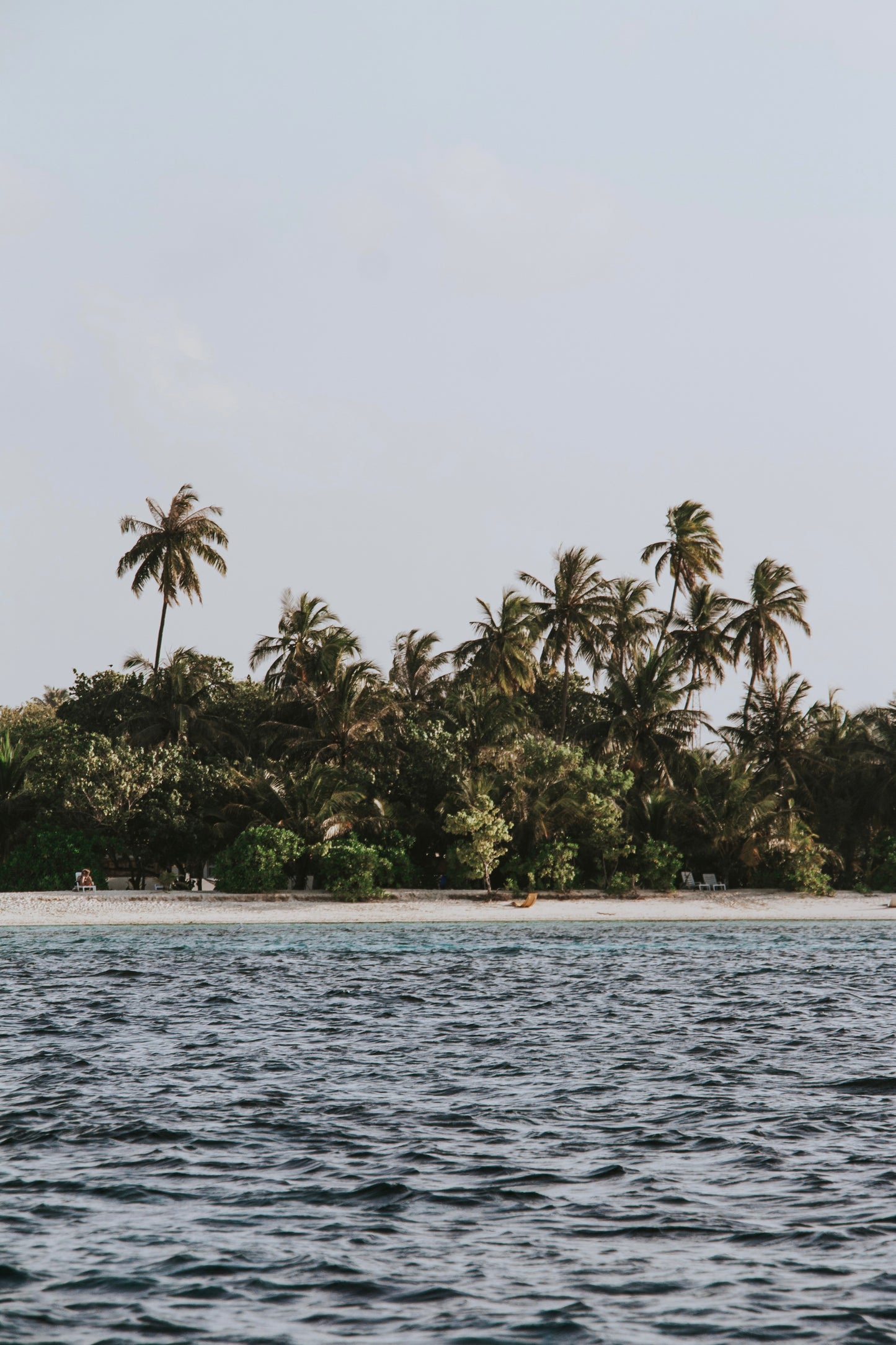 Palms Island