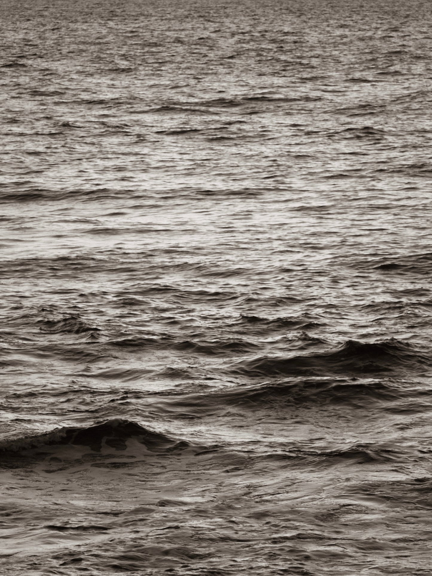 Black Ocean