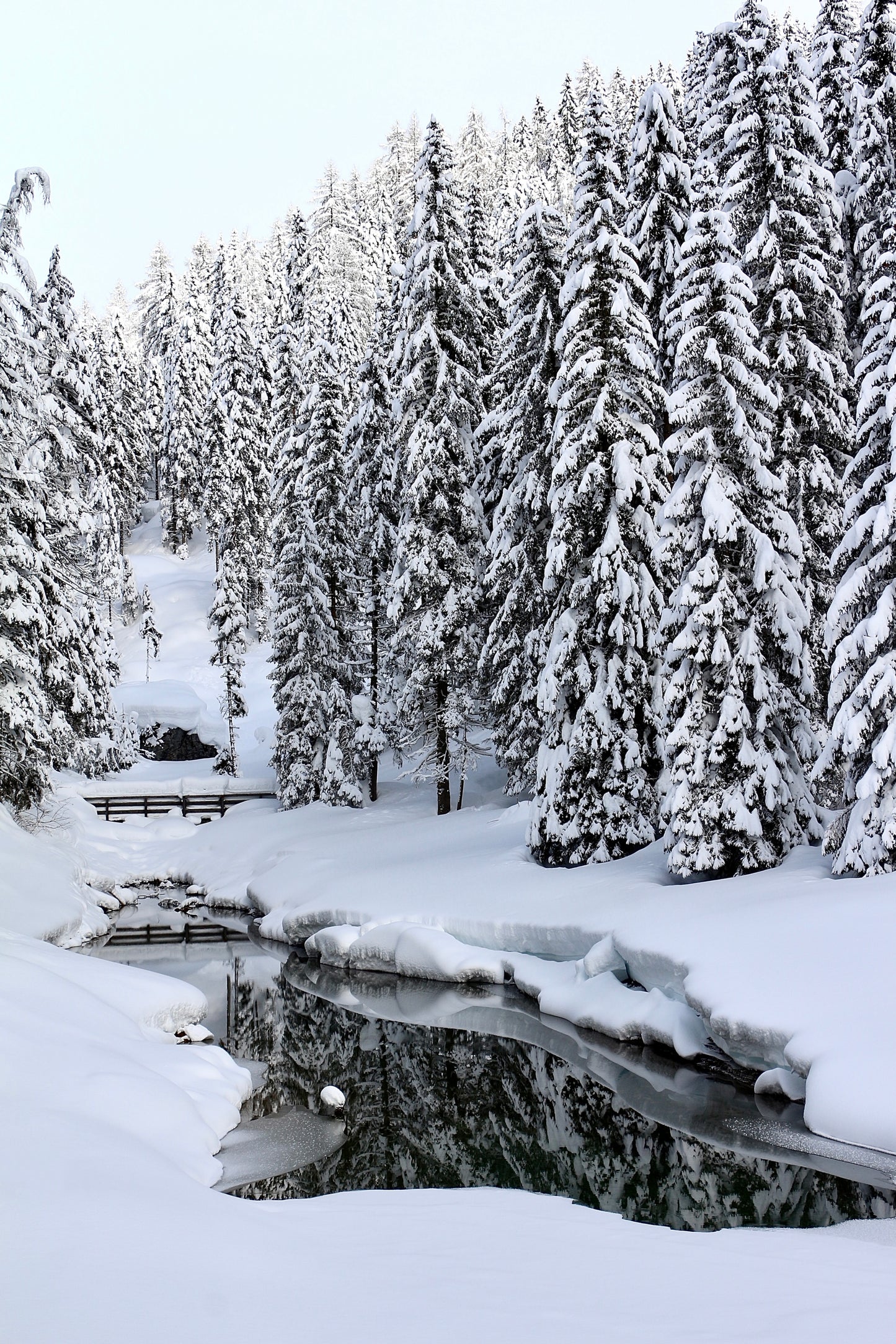 Snowy